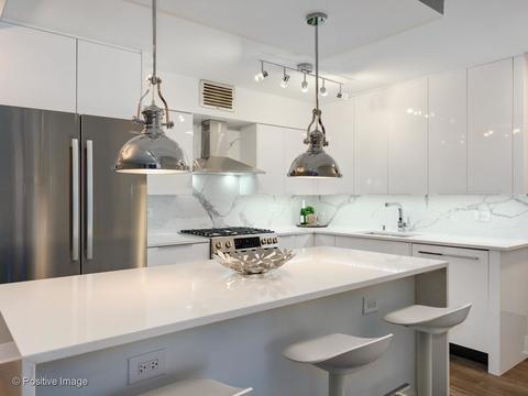 40 E Cedar St #9D, Chicago, IL 60611 photo 10