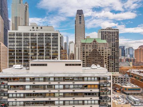 40 E Cedar St #9D, Chicago, IL 60611 photo 19