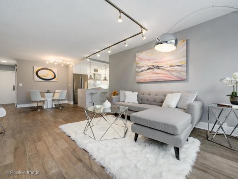 40 E Cedar St #9D, Chicago, IL 60611 photo 6