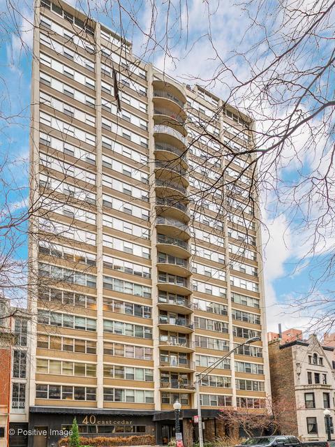 40 E Cedar St #9D, Chicago, IL 60611 photo 1