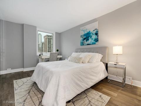 40 E Cedar St #9D, Chicago, IL 60611 photo 16