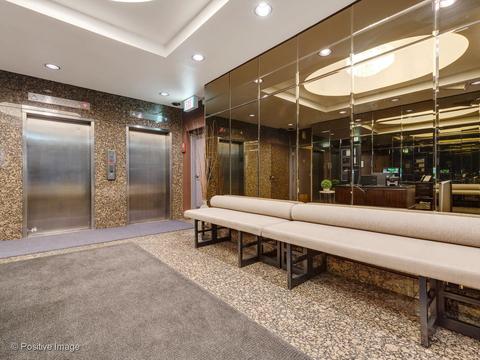 40 E Cedar St #9D, Chicago, IL 60611 photo 25