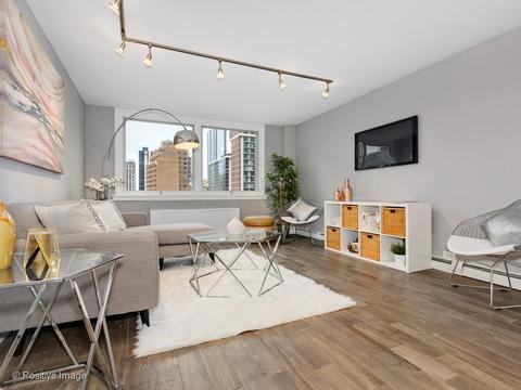 40 E Cedar St #9D, Chicago, IL 60611 photo 4