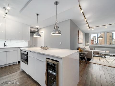 40 E Cedar St #9D, Chicago, IL 60611 photo 9