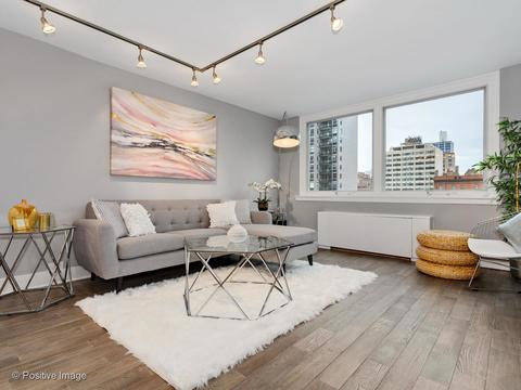 40 E Cedar St #9D, Chicago, IL 60611 photo 3