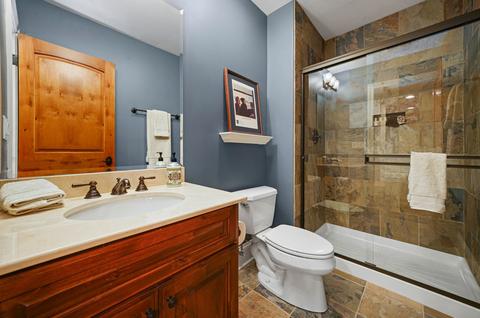 117 E Wilson St, Elmhurst, IL 60126 photo 37