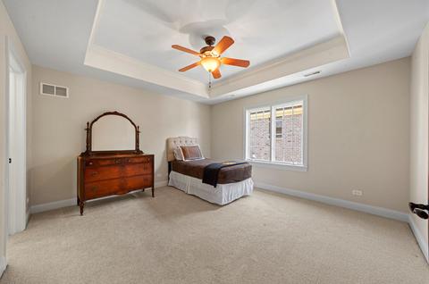 117 E Wilson St, Elmhurst, IL 60126 photo 31