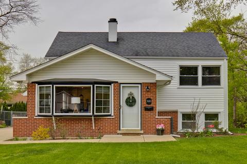 528 S Beverly St, Wheaton, IL 60187 photo 1