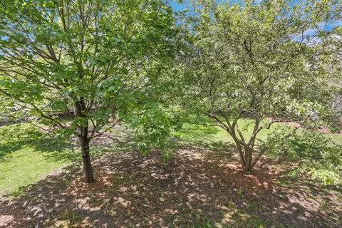 454 Mayflower Ln #2, Bartlett, IL 60103 photo 24