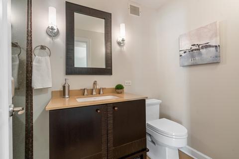 1 E Schiller St #3D, Chicago, IL 60610 photo 28