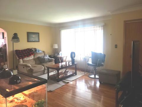 8643 Lorel Ave, Burbank, IL 60459 photo 7