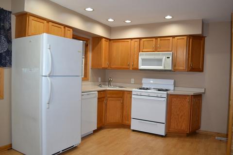 145 E 1st St, Braidwood, IL 60408 photo 6