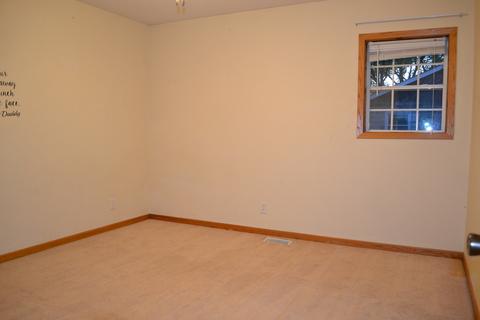 145 E 1st St, Braidwood, IL 60408 photo 8