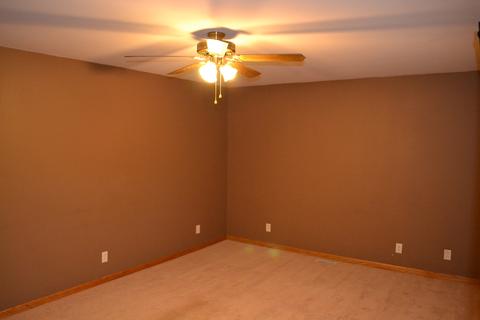 145 E 1st St, Braidwood, IL 60408 photo 4