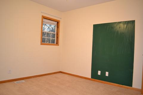 145 E 1st St, Braidwood, IL 60408 photo 9
