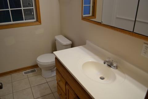 145 E 1st St, Braidwood, IL 60408 photo 10