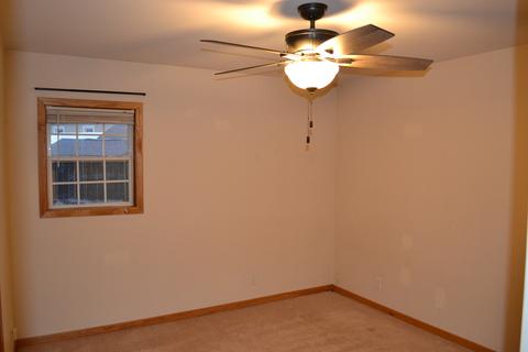 145 E 1st St, Braidwood, IL 60408 photo 13