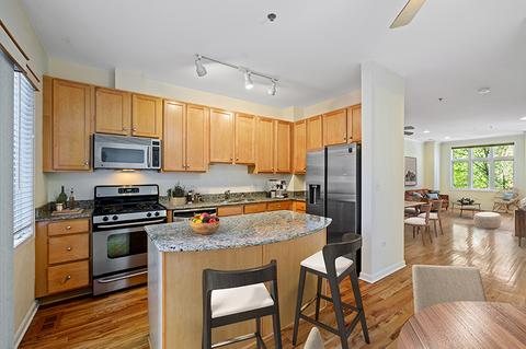 317 E 17th St, Chicago, IL 60616 photo 12