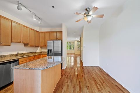 317 E 17th St, Chicago, IL 60616 photo 17