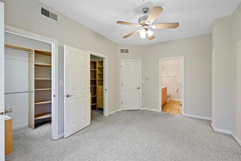 317 E 17th St, Chicago, IL 60616 photo 21