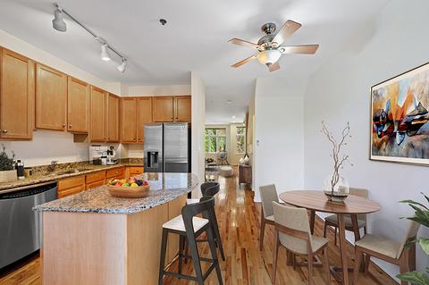 317 E 17th St, Chicago, IL 60616 photo 16