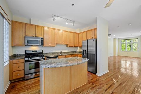 317 E 17th St, Chicago, IL 60616 photo 13