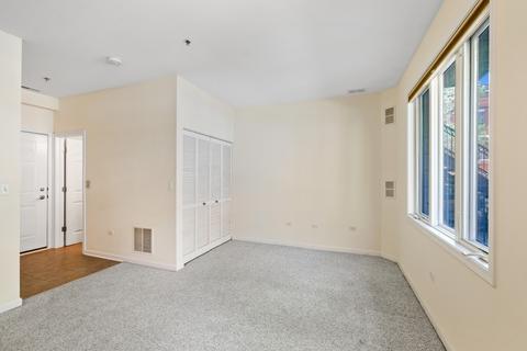 317 E 17th St, Chicago, IL 60616 photo 35