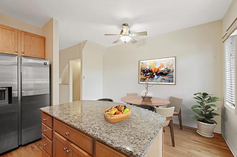 317 E 17th St, Chicago, IL 60616 photo 14