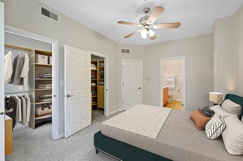 317 E 17th St, Chicago, IL 60616 photo 20