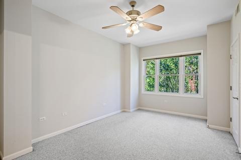 317 E 17th St, Chicago, IL 60616 photo 19