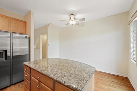 317 E 17th St, Chicago, IL 60616 photo 15