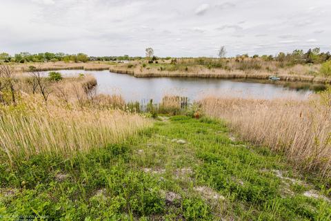 8900 Goodfarm Rd, Gardner, IL 60424 photo 59