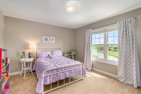 26642 W Red Apple Rd, Plainfield, IL 60585 photo 19
