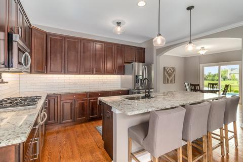 26642 W Red Apple Rd, Plainfield, IL 60585 photo 6