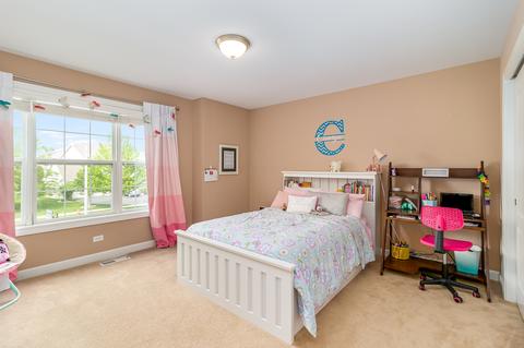 26642 W Red Apple Rd, Plainfield, IL 60585 photo 17