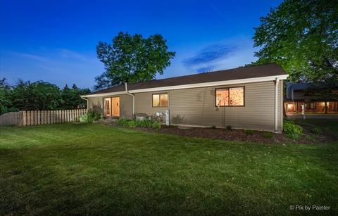 485 E Granville Ave, Roselle, IL 60172 photo 35