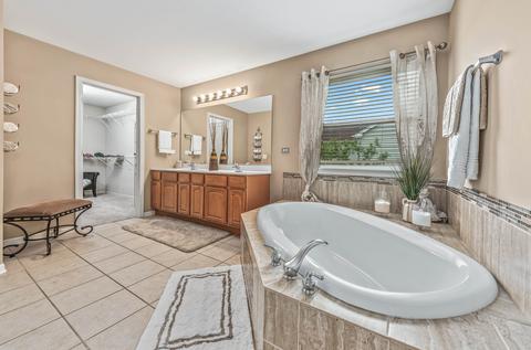 24656 W Champion Dr, Plainfield, IL 60585 photo 20