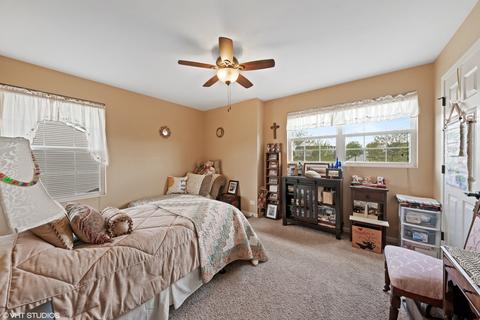 1613 Elysium Dr, Minooka, IL 60447 photo 16