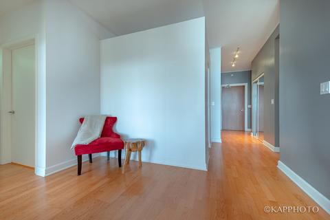 233 E 13th St #1908, Chicago, IL 60605 photo 15