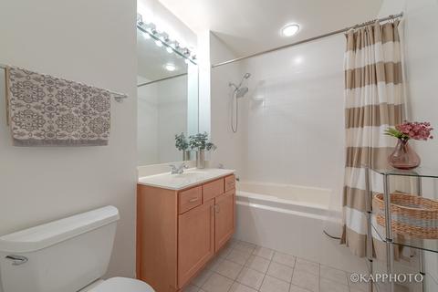 233 E 13th St #1908, Chicago, IL 60605 photo 22