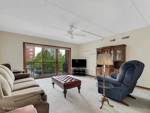 455 W Front St #209, Wheaton, IL 60187 photo 7
