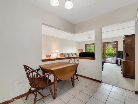 455 W Front St #209, Wheaton, IL 60187 photo 12