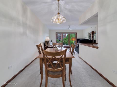 455 W Front St #209, Wheaton, IL 60187 photo 5