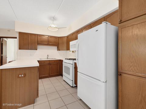 455 W Front St #209, Wheaton, IL 60187 photo 15