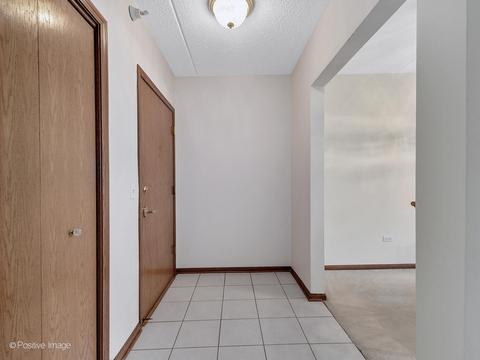455 W Front St #209, Wheaton, IL 60187 photo 4