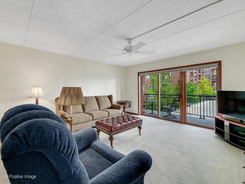 455 W Front St #209, Wheaton, IL 60187 photo 9