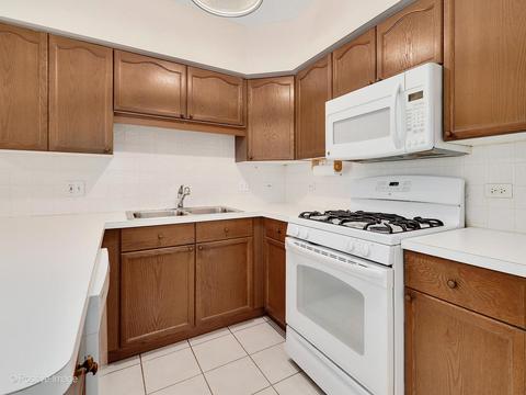 455 W Front St #209, Wheaton, IL 60187 photo 16