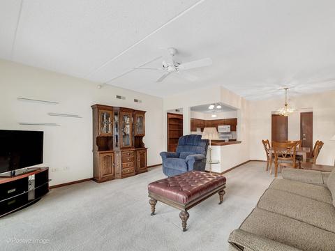 455 W Front St #209, Wheaton, IL 60187 photo 8