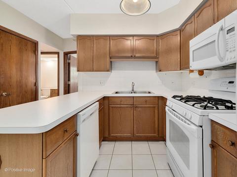 455 W Front St #209, Wheaton, IL 60187 photo 13