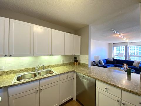 30 E Huron St #4510, Chicago, IL 60611 photo 8